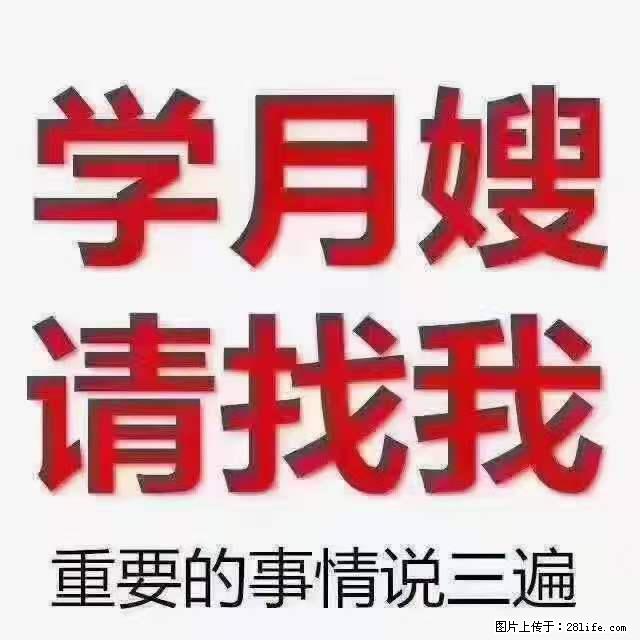 为什么要学习月嫂,育婴师? - 其他广告 - 广告专区 - 鹰潭分类信息 - 鹰潭28生活网 yingtan.28life.com