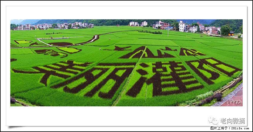 【春天，广西桂林灌阳县向您发出邀请！】开篇 - 游山玩水 - 鹰潭生活社区 - 鹰潭28生活网 yingtan.28life.com