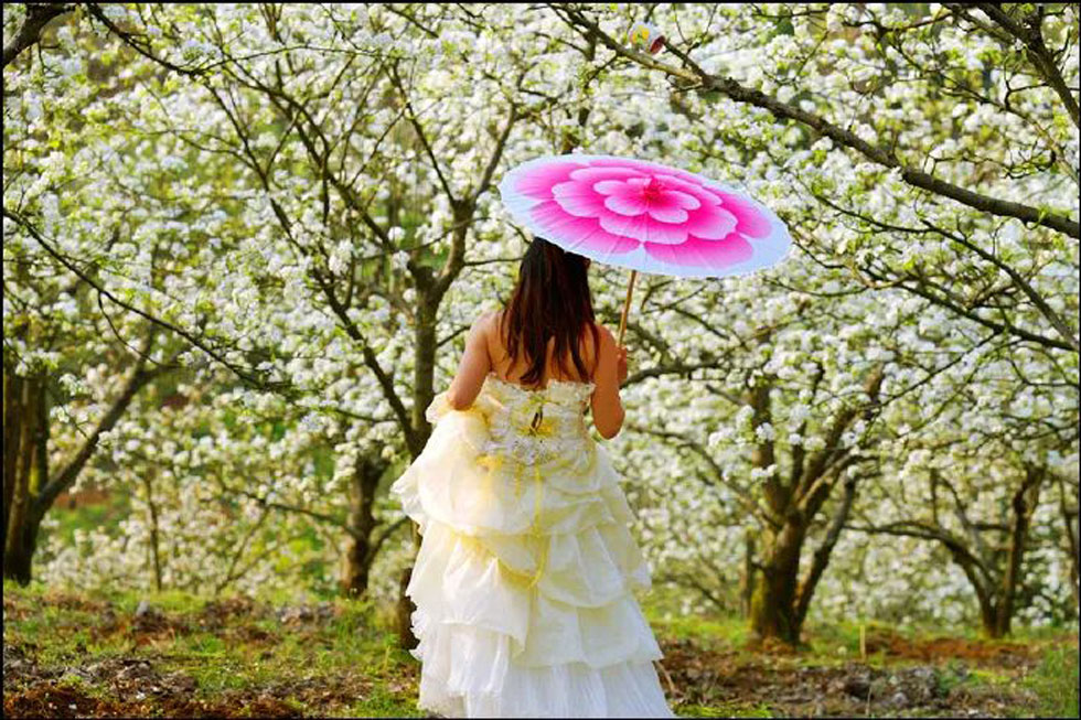 【春天，广西桂林灌阳县向您发出邀请！】我们在灌阳看梨花 - 游山玩水 - 鹰潭生活社区 - 鹰潭28生活网 yingtan.28life.com