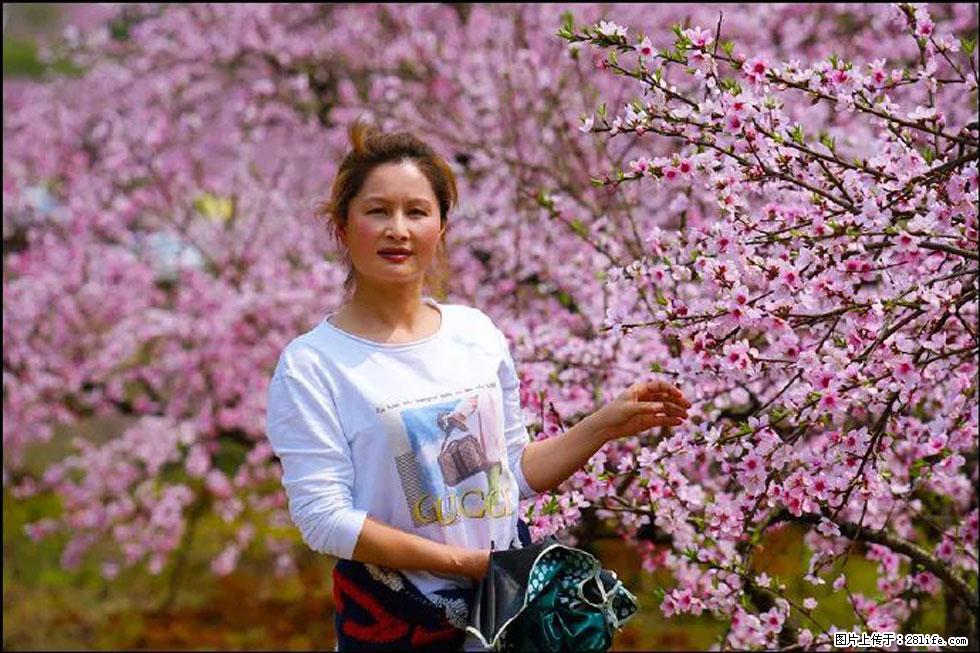 【春天,广西桂林灌阳县向您发出邀请!】官庄村有个醉美的桃花园 - 游山玩水 - 鹰潭生活社区 - 鹰潭28生活网 yingtan.28life.com
