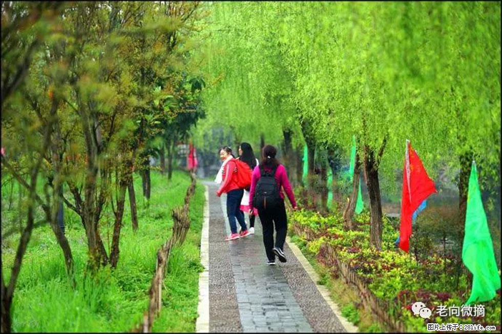 【春天，广西桂林灌阳县向您发出邀请！】江口老街又逢春 - 游山玩水 - 鹰潭生活社区 - 鹰潭28生活网 yingtan.28life.com