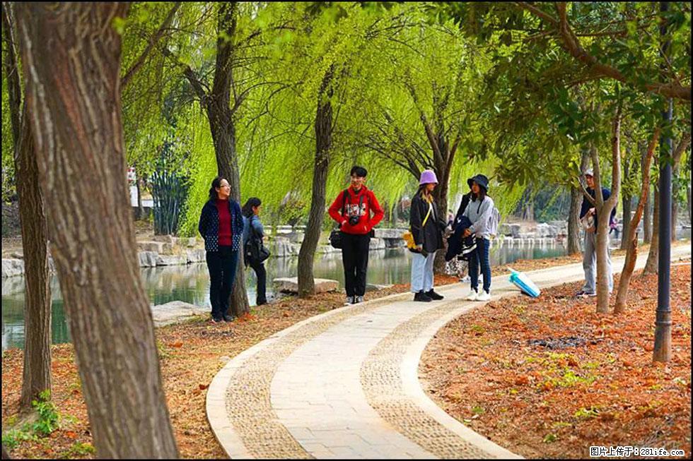 【春天，广西桂林灌阳县向您发出邀请！】江口老街又逢春 - 游山玩水 - 鹰潭生活社区 - 鹰潭28生活网 yingtan.28life.com