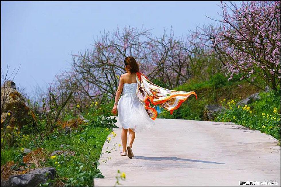 【春天，广西桂林灌阳县向您发出邀请！】望月岭上桃花开 - 游山玩水 - 鹰潭生活社区 - 鹰潭28生活网 yingtan.28life.com