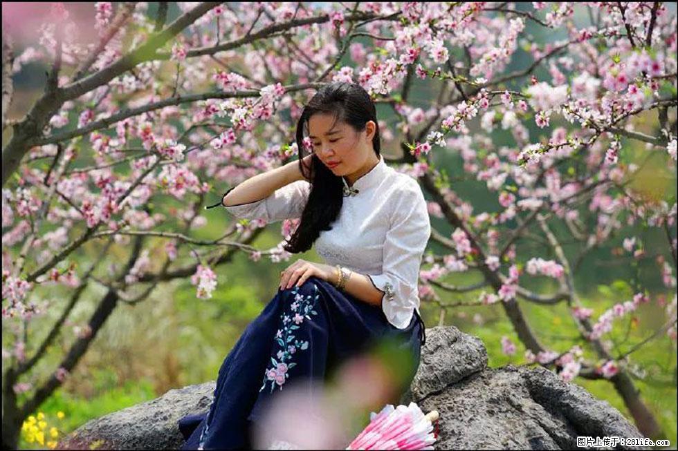 【春天，广西桂林灌阳县向您发出邀请！】望月岭上桃花开 - 游山玩水 - 鹰潭生活社区 - 鹰潭28生活网 yingtan.28life.com