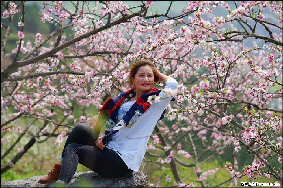 【春天，广西桂林灌阳县向您发出邀请！】望月岭上桃花开 - 游山玩水 - 鹰潭生活社区 - 鹰潭28生活网 yingtan.28life.com