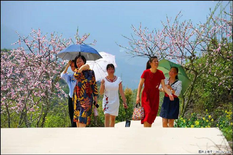 【春天，广西桂林灌阳县向您发出邀请！】望月岭上桃花开 - 游山玩水 - 鹰潭生活社区 - 鹰潭28生活网 yingtan.28life.com