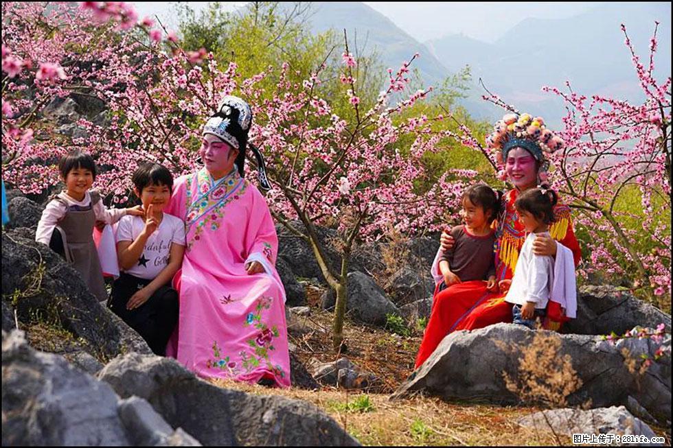【春天，广西桂林灌阳县向您发出邀请！】望月岭上桃花开 - 游山玩水 - 鹰潭生活社区 - 鹰潭28生活网 yingtan.28life.com
