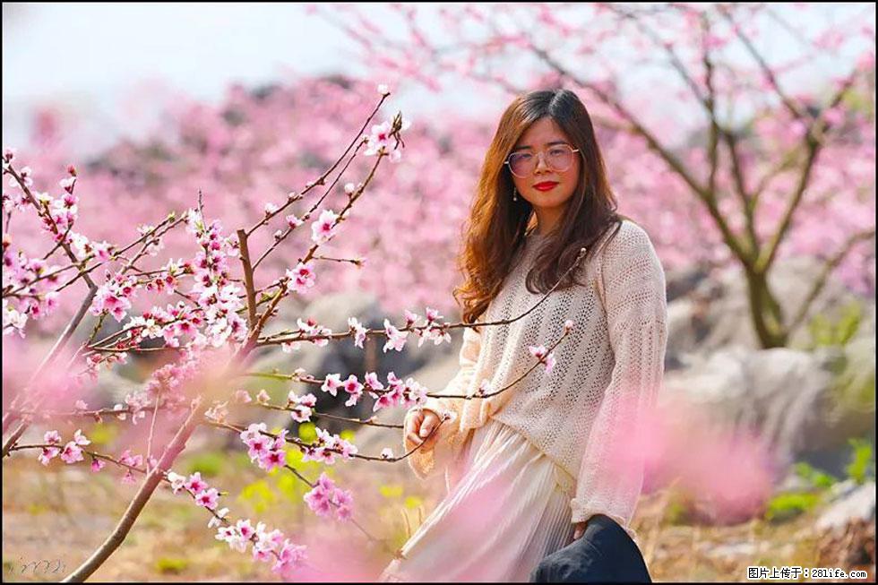 【春天，广西桂林灌阳县向您发出邀请！】望月岭上桃花开 - 游山玩水 - 鹰潭生活社区 - 鹰潭28生活网 yingtan.28life.com