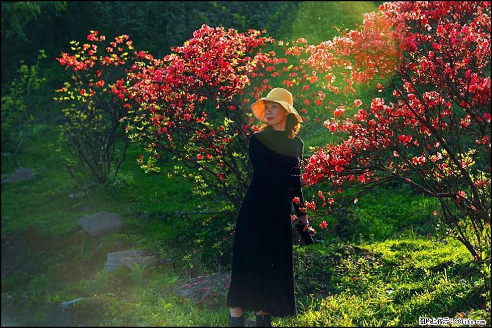 【春天，广西桂林灌阳县向您发出邀请！】春木界上映山红 - 游山玩水 - 鹰潭生活社区 - 鹰潭28生活网 yingtan.28life.com