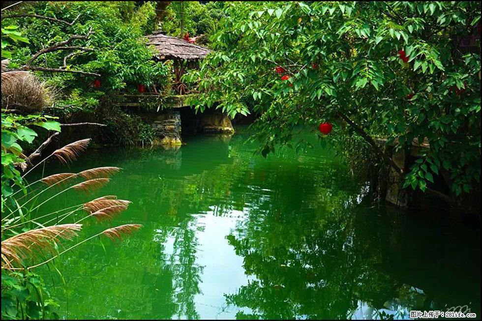 【春天,广西桂林灌阳县向您发出邀请!】如梦似幻莲溪庐 - 游山玩水 - 鹰潭生活社区 - 鹰潭28生活网 yingtan.28life.com