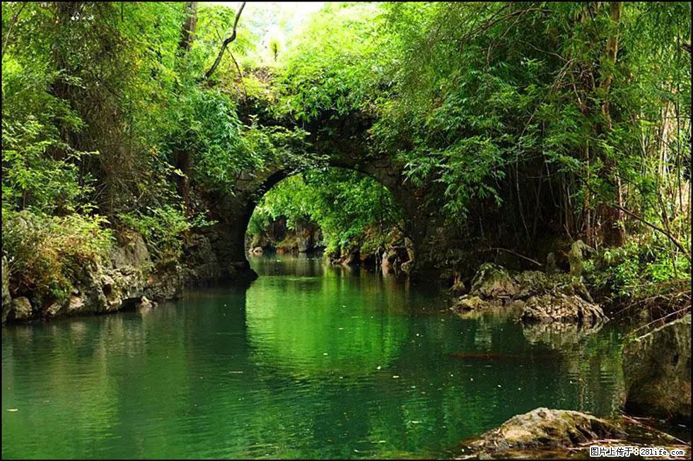 【春天,广西桂林灌阳县向您发出邀请!】如梦似幻莲溪庐 - 游山玩水 - 鹰潭生活社区 - 鹰潭28生活网 yingtan.28life.com