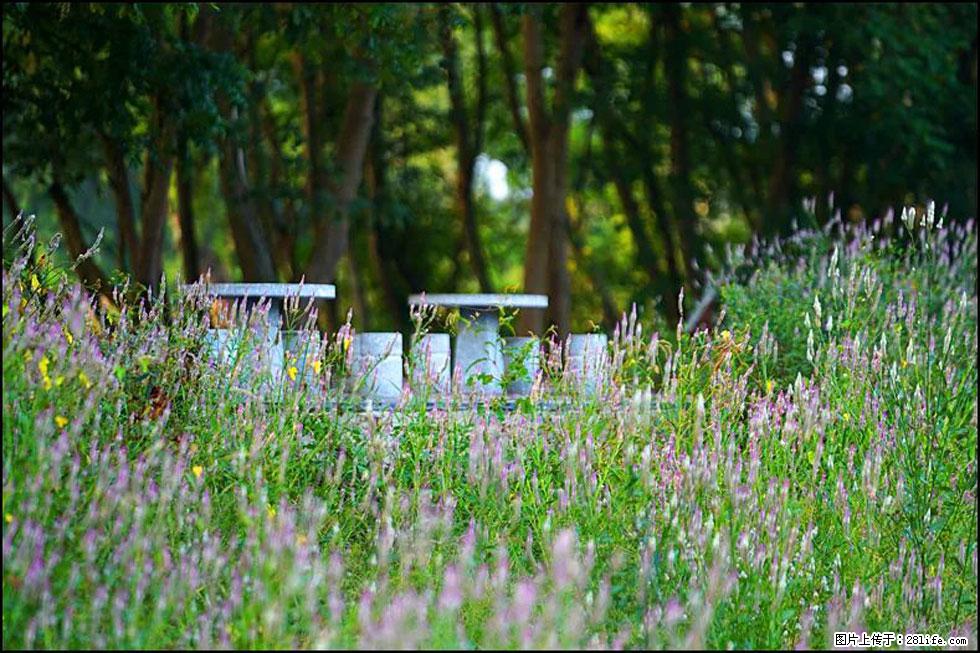 【春天,广西桂林灌阳县向您发出邀请!】熊家寨湿地公园 - 游山玩水 - 鹰潭生活社区 - 鹰潭28生活网 yingtan.28life.com