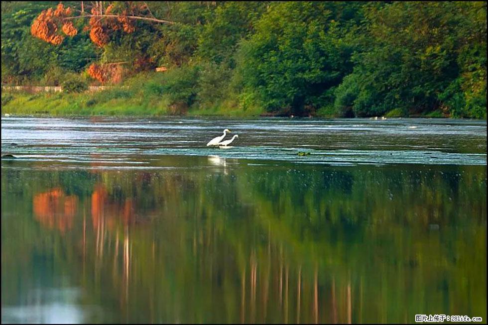 【春天,广西桂林灌阳县向您发出邀请!】熊家寨湿地公园 - 游山玩水 - 鹰潭生活社区 - 鹰潭28生活网 yingtan.28life.com