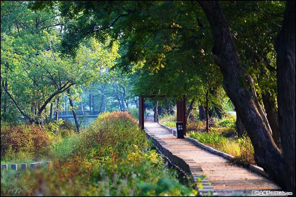 【春天,广西桂林灌阳县向您发出邀请!】熊家寨湿地公园 - 游山玩水 - 鹰潭生活社区 - 鹰潭28生活网 yingtan.28life.com