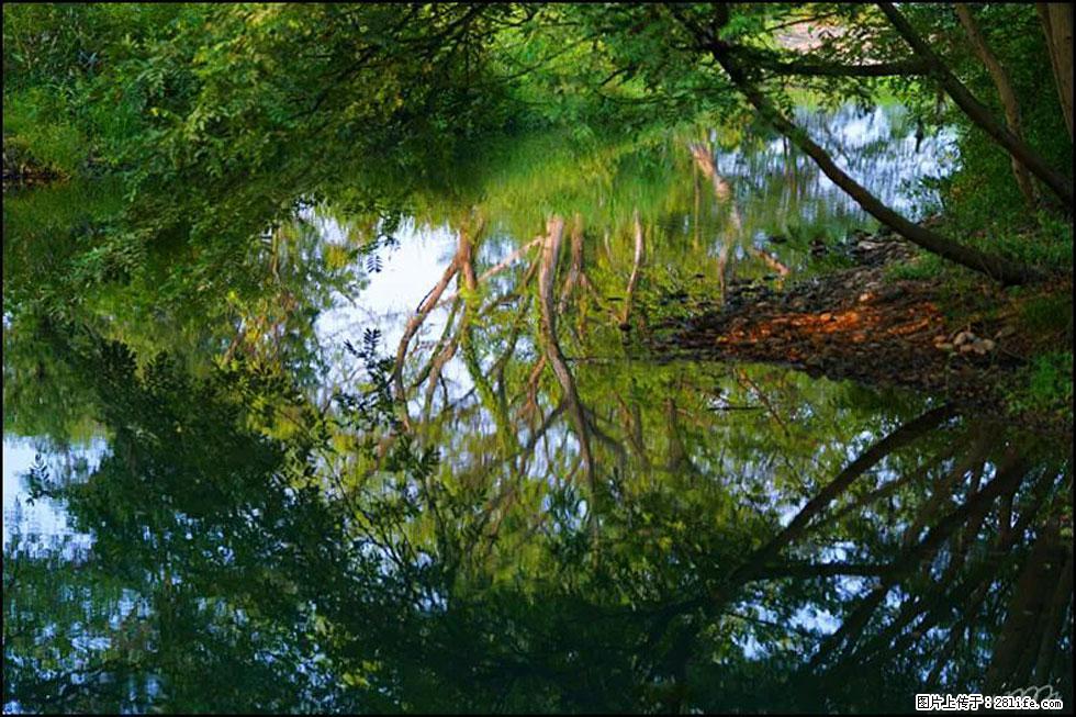 【春天,广西桂林灌阳县向您发出邀请!】熊家寨湿地公园 - 游山玩水 - 鹰潭生活社区 - 鹰潭28生活网 yingtan.28life.com