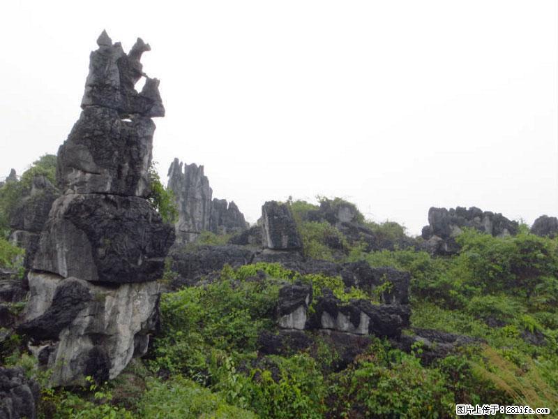 桂林旅游名城景点:灌阳文市石林 - 游山玩水 - 鹰潭生活社区 - 鹰潭28生活网 yingtan.28life.com