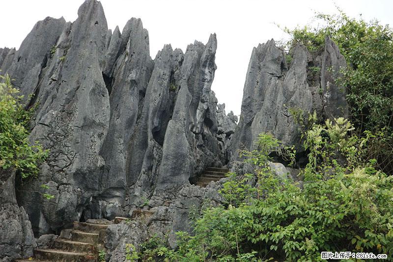 桂林旅游名城景点:灌阳文市石林 - 游山玩水 - 鹰潭生活社区 - 鹰潭28生活网 yingtan.28life.com