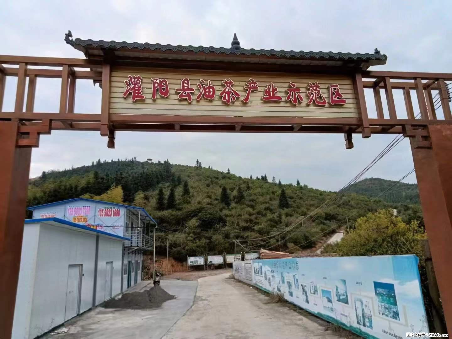 【灌阳县油茶产业示范区】一个有着充实的精神生活的人,对待身外之物自会有一种淡泊的态度 - 土特产 - 饮食特产 - 鹰潭分类信息 - 鹰潭28生活网 yingtan.28life.com