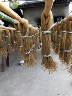 【灌阳正宗红薯粉】美女家里自己做的，干净卫生，假一赔十，价格合理，抢购电话：13737312895 - 鹰潭28生活网 yingtan.28life.com