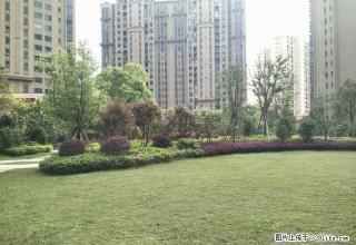 水木清华 新一中就在对面 读书很方便 - 鹰潭28生活网 yingtan.28life.com