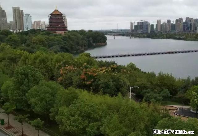 全新装修新房子新小区,急租 - 房屋出租 - 房屋租售 - 鹰潭分类信息 - 鹰潭28生活网 yingtan.28life.com