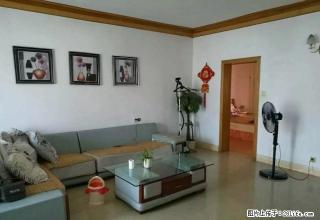 沃尔玛附近精装修经典户型 - 鹰潭28生活网 yingtan.28life.com