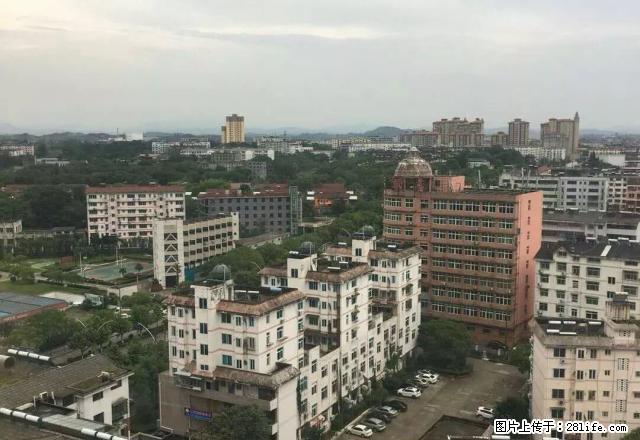 (单间出租)楼层好，环境很话好，家电齐全，拎包入住，房东好说 - 房屋出租 - 房屋租售 - 鹰潭分类信息 - 鹰潭28生活网 yingtan.28life.com