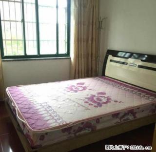 环城西路 2室2厅 直接拎包入住 - 鹰潭28生活网 yingtan.28life.com