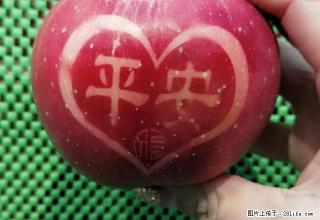 市区中心 公寓出租 精装修 拎包入住 随时看房 朝南的公寓哦 - 鹰潭28生活网 yingtan.28life.com