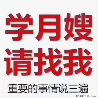 【招聘】月嫂，上海徐汇区 - 鹰潭28生活网 yingtan.28life.com