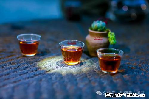 时间果百年古树2025年春红茶 - 购物交流 - 鹰潭生活社区 - 鹰潭28生活网 yingtan.28life.com