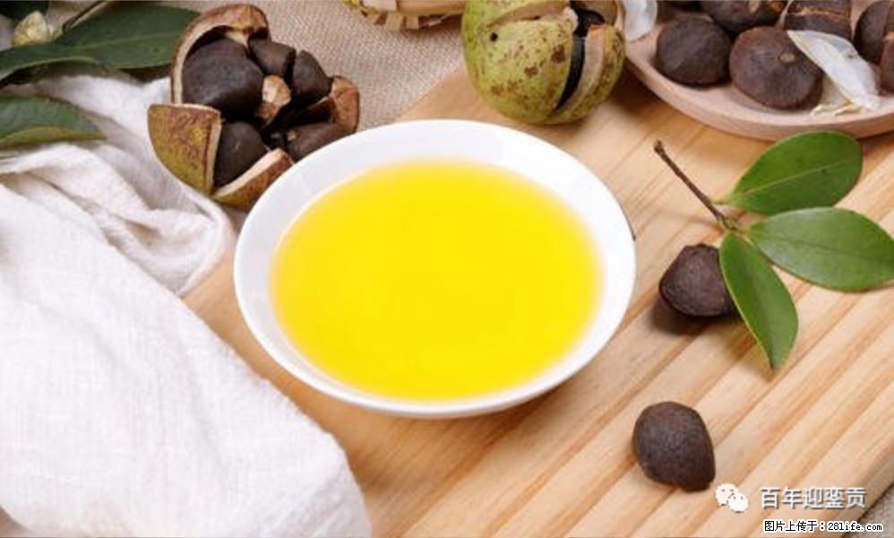 揭秘茶油的5大核心营养成分！被称为人体健康的“守护盾”！ - 鹰潭生活资讯 - 鹰潭28生活网 yingtan.28life.com