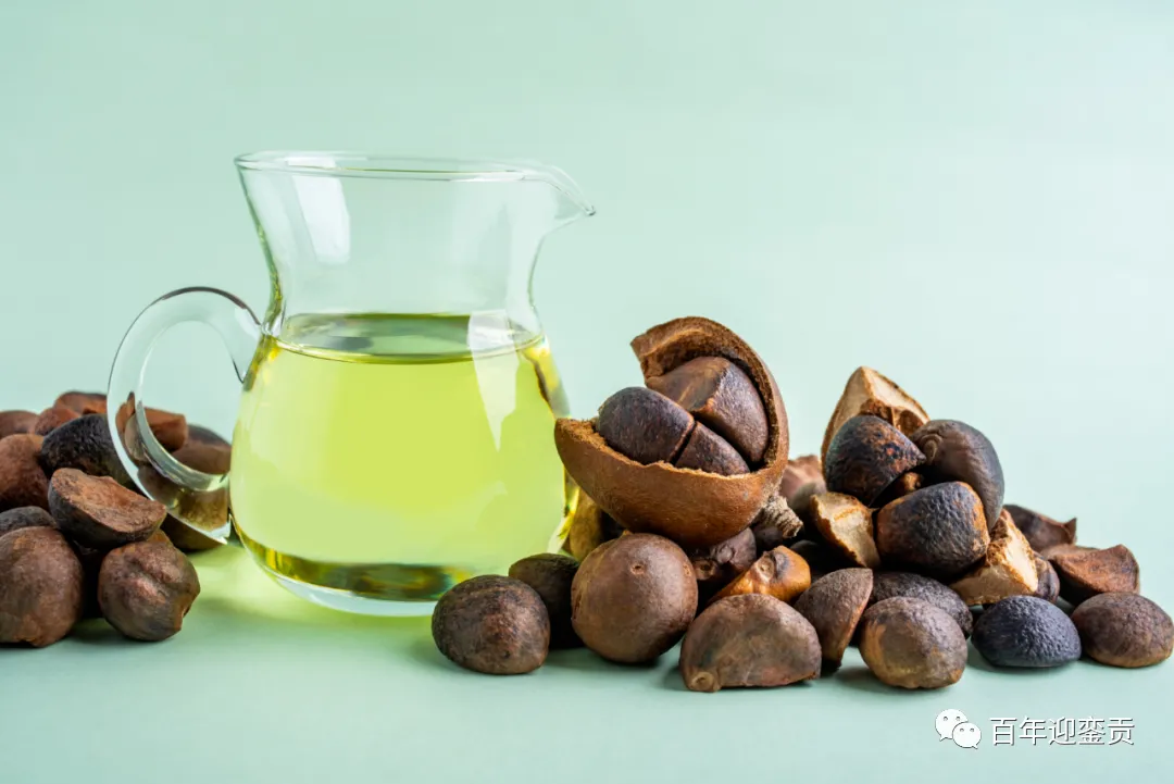 世界没有真相，只有认知，最好的食用油是中国的山茶油！ - 鹰潭生活资讯 - 鹰潭28生活网 yingtan.28life.com