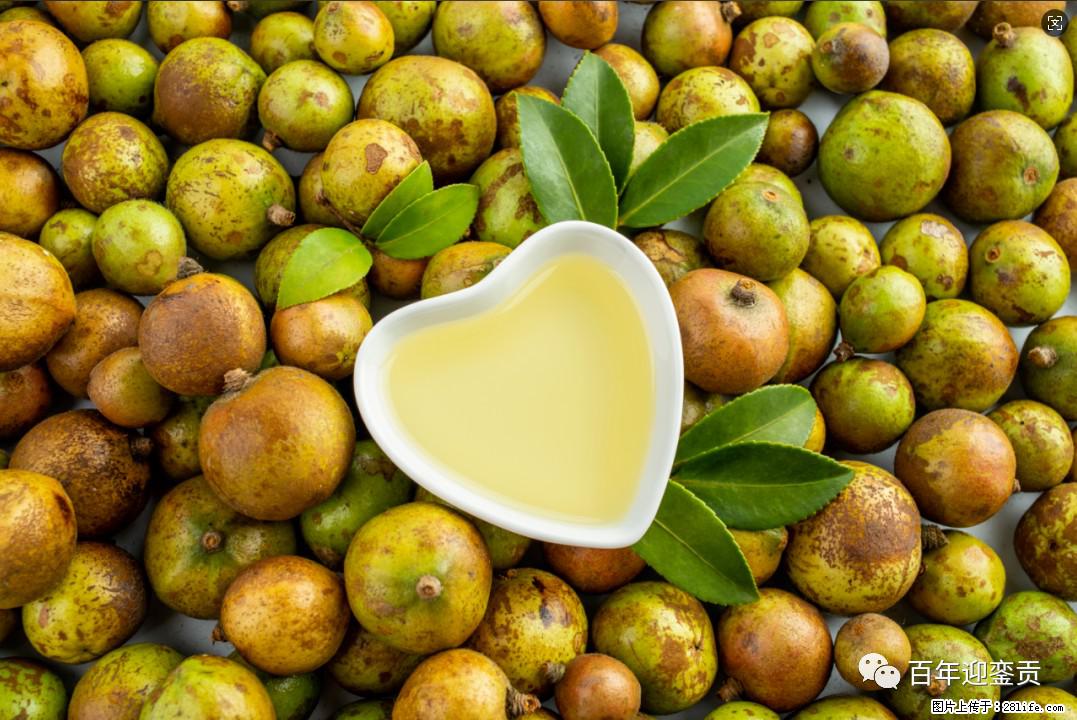 世界没有真相，只有认知，最好的食用油是中国的山茶油！ - 鹰潭生活资讯 - 鹰潭28生活网 yingtan.28life.com