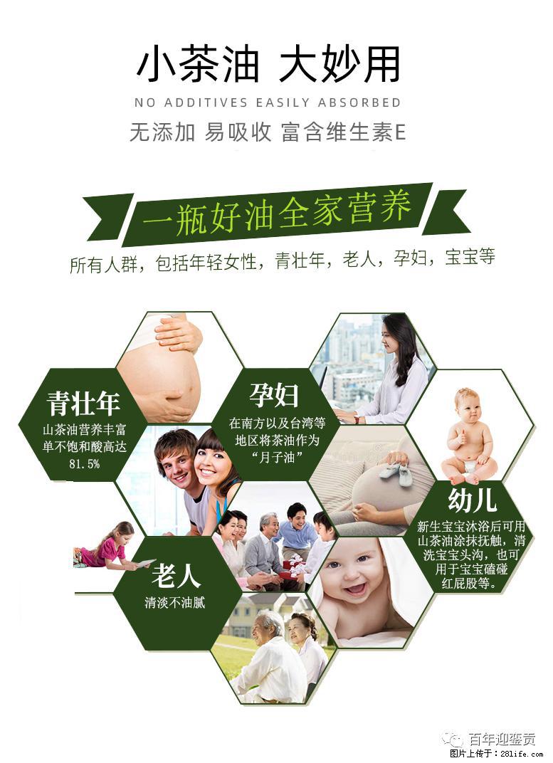 世界没有真相，只有认知，最好的食用油是中国的山茶油！ - 鹰潭生活资讯 - 鹰潭28生活网 yingtan.28life.com