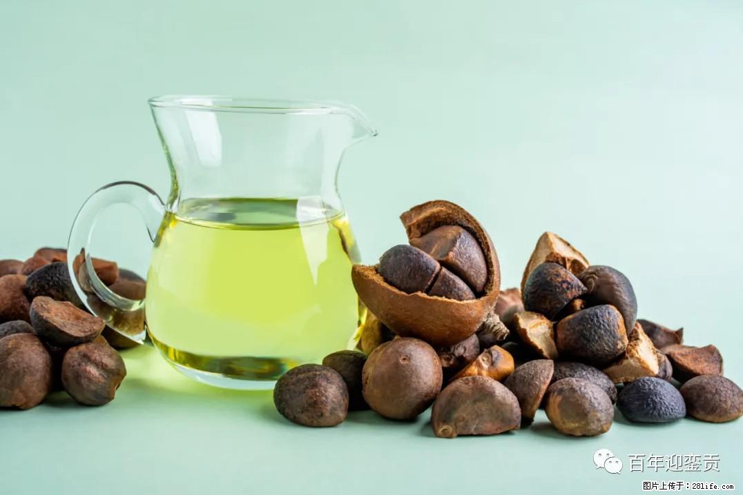 世界没有真相，只有认知，最好的食用油是中国的山茶油！ - 鹰潭生活资讯 - 鹰潭28生活网 yingtan.28life.com