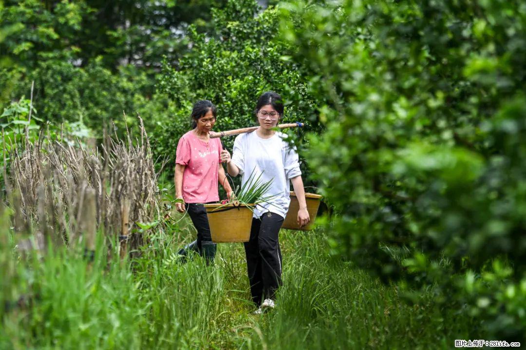 全网追的“扁担女孩”,找了一份暑假工,时薪12元 - 鹰潭生活资讯 - 鹰潭28生活网 yingtan.28life.com