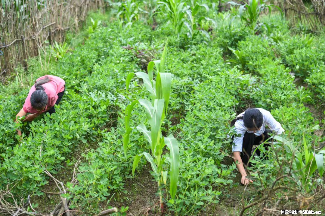 全网追的“扁担女孩”,找了一份暑假工,时薪12元 - 鹰潭生活资讯 - 鹰潭28生活网 yingtan.28life.com