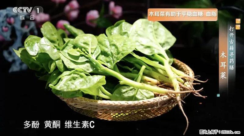 比牛奶补钙还厉害!凉血解毒、稳血糖...这菜冬天必吃,很多人却当草 - 鹰潭生活资讯 - 鹰潭28生活网 yingtan.28life.com