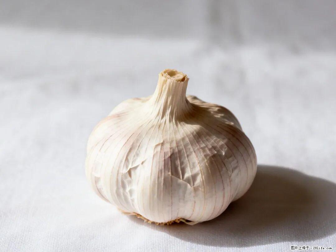 关于大蒜,除了“天然抗生素”,这4个谣言更该警惕! - 鹰潭生活资讯 - 鹰潭28生活网 yingtan.28life.com