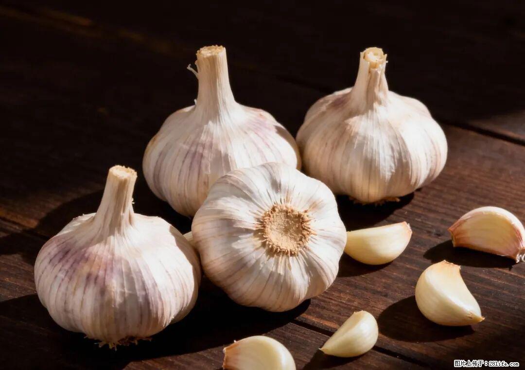 关于大蒜,除了“天然抗生素”,这4个谣言更该警惕! - 鹰潭生活资讯 - 鹰潭28生活网 yingtan.28life.com