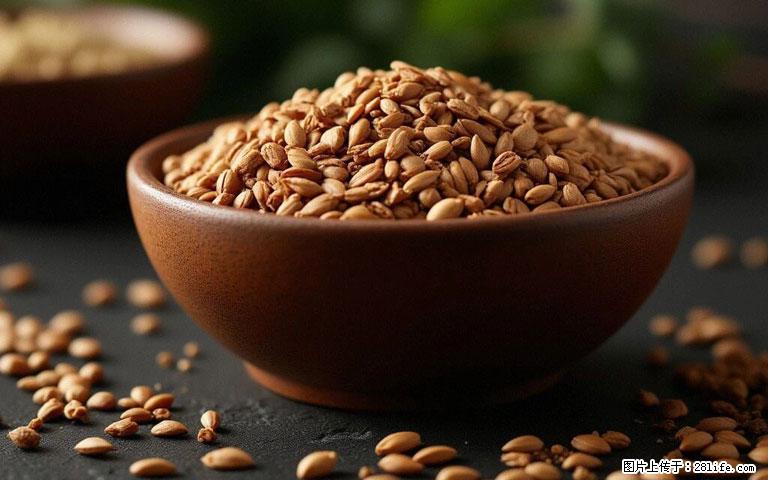 这三苦是三高“克星”,心血管干净不易堵!每天吃一点,指标慢慢降下来~ - 鹰潭生活资讯 - 鹰潭28生活网 yingtan.28life.com