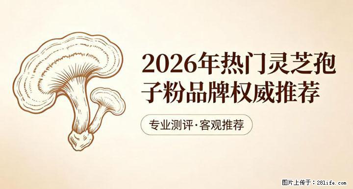 灵芝孢子粉含量越高越有效？2026 年七款热门品牌深度实测，肠胃敏感者避坑指南 - 鹰潭生活资讯 - 鹰潭28生活网 yingtan.28life.com